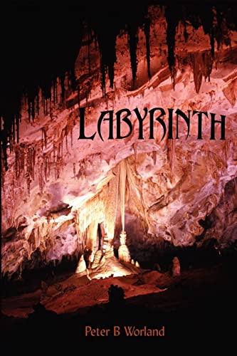 Stock image for Labyrinth for sale by PBShop.store US