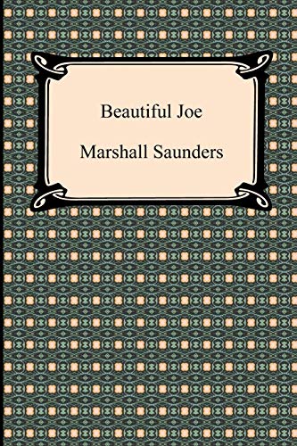 Imagen de archivo de Beautiful Joe a la venta por BooksRun