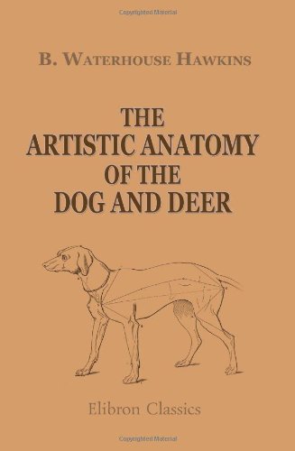 Imagen de archivo de The Artistic Anatomy of the Dog and Deer: With Illustrations Drawn on Wood by the Author a la venta por Revaluation Books