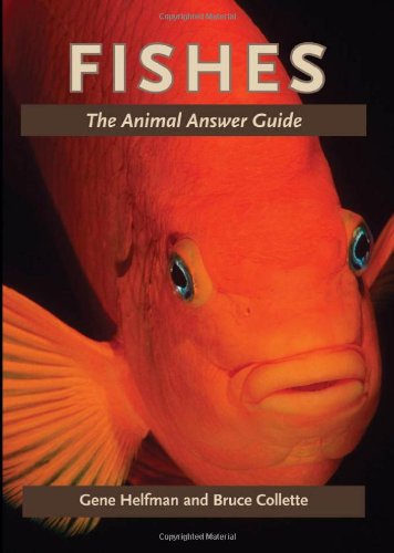 Stock image for Fishes: The Animal Answer Guide (The Animal Answer Guides: Q&A for the Curious Naturalist) for sale by dsmbooks