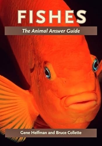 Stock image for Fishes : The Animal Answer Guide for sale by Reader's Corner, Inc.