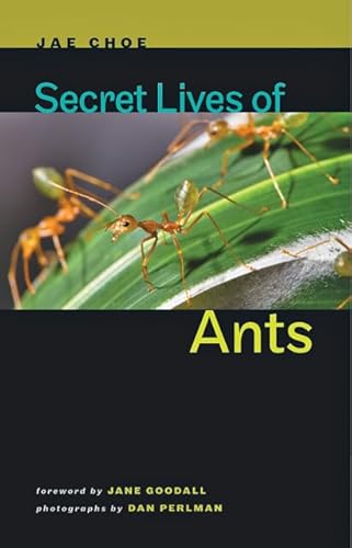 9781421404288: Secret Lives of Ants