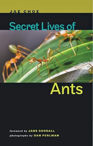 Stock image for Secret Lives of Ants for sale by SecondSale