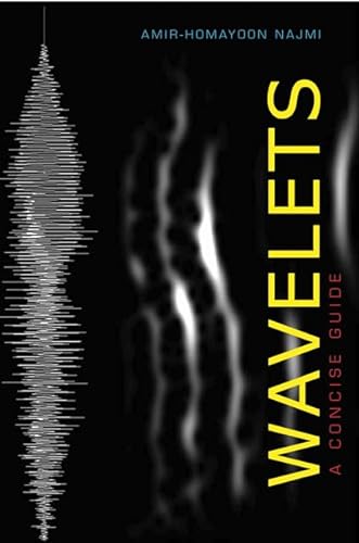 9781421404950: Wavelets: A Concise Guide