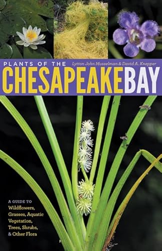 Stock image for Plants of the Chesapeake Bay: A Guide to Wildflowers, Grasses, Aquatic Vegetation, Trees, Shrubs, and Other Flora for sale by Wonder Book