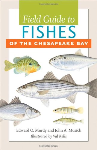 Stock image for Field Guide to Fishes of the Chesapeake Bay for sale by ThriftBooks-Atlanta
