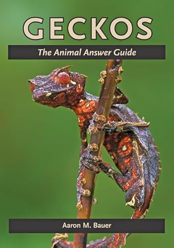 Stock image for Geckos: The Animal Answer Guide (The Animal Answer Guides: Q&A for the Curious Naturalist) for sale by HPB-Blue