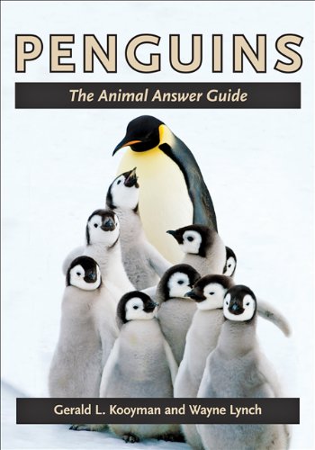 Imagen de archivo de Penguins: The Animal Answer Guide (The Animal Answer Guides: Q&A for the Curious Naturalist) a la venta por Ria Christie Collections