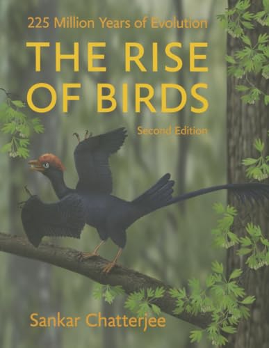 Beispielbild fr The Rise of Birds zum Verkauf von Blackwell's