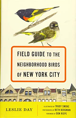 9781421416175: Field Guide to the Neighborhood Birds of New York City