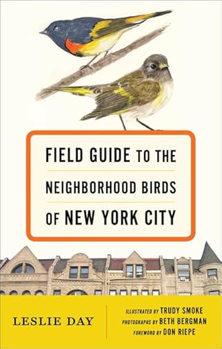 Beispielbild fr Field Guide to the Neighborhood Birds of New York City zum Verkauf von Blackwell's