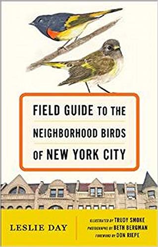 Stock image for Field Guide to the Neighborhood Birds of New York City for sale by More Than Words