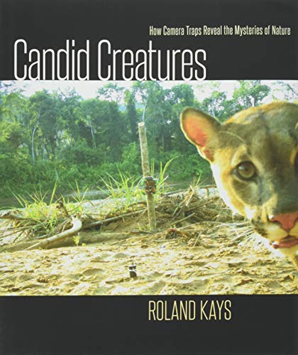 Beispielbild fr Candid Creatures : How Camera Traps Reveal the Mysteries of Nature zum Verkauf von Better World Books