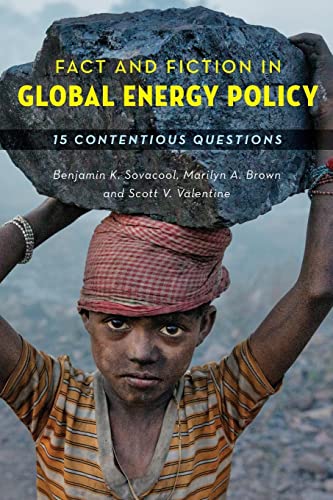 Stock image for Fact and Fiction in Global Energy Policy: Fifteen Contentious Questions for sale by BooksRun