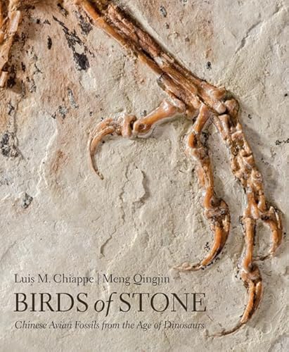 Beispielbild fr Birds of Stone zum Verkauf von Blackwell's