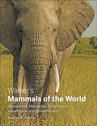 Stock image for Walker's Mammals of the World : Monotremes, Marsupials, Afrotherians, Xenarthrans, and Sundatherians for sale by Better World Books