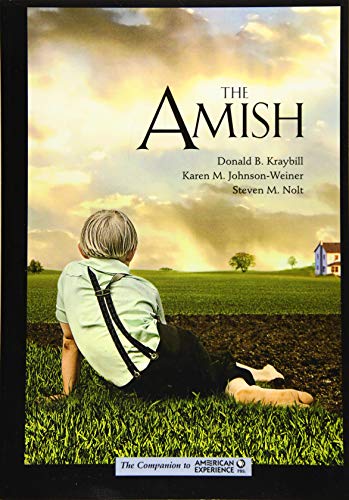 Beispielbild fr The Amish zum Verkauf von Blackwell's