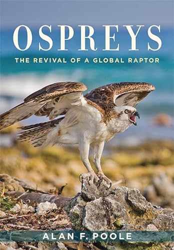 Stock image for Ospreys for sale by Blackwell's