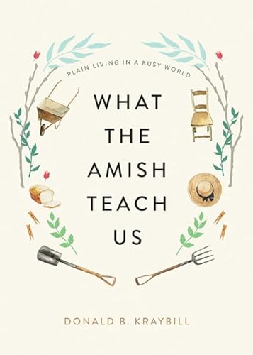 Beispielbild fr What the Amish Teach Us: Plain Living in a Busy World zum Verkauf von BooksRun