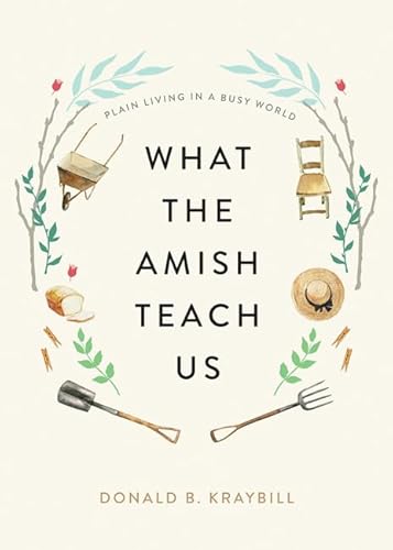 9781421442174: What the Amish Teach Us: Plain Living in a Busy World