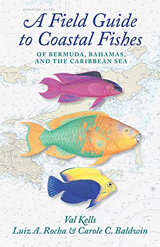 Stock image for Field Guide to Coastal Fishes of Bermuda, Bahamas, and the Caribbean Sea for sale by GreatBookPrices