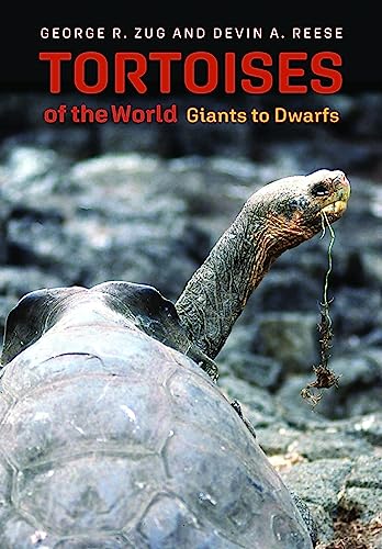 Stock image for Tortoises of the World : Giants to Dwarfs for sale by GreatBookPrices