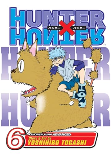 9781421501857: Hunter X Hunter, Vol. 6