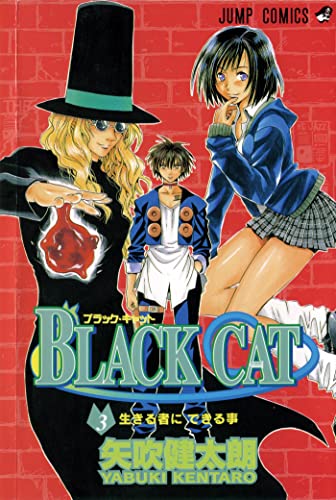 Beispielbild fr Black Cat, Vol. 3 (3) zum Verkauf von Books From California
