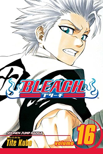 Beispielbild fr Bleach, Vol. 16 zum Verkauf von Better World Books