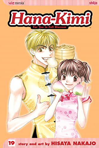 Stock image for Hana-Kimi, Vol. 19 for sale by Half Price Books Inc.