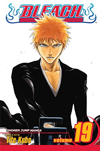 Imagen de archivo de Bleach, Vol. 19 a la venta por ICTBooks