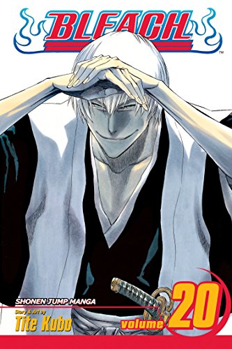 Beispielbild fr Bleach, Vol. 20 zum Verkauf von SecondSale