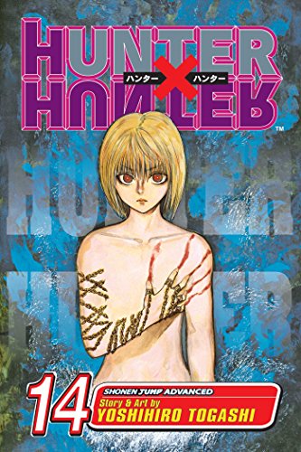 9781421510705: HUNTER X HUNTER GN VOL 14