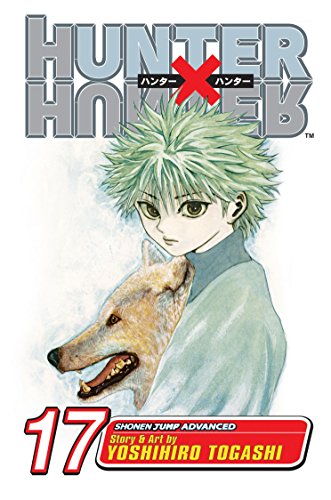 Stock image for Hunter x Hunter, Vol. 17 for sale by Decluttr