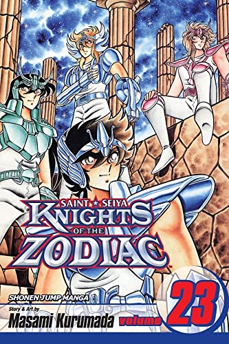 9781421510859: Knights Of The Zodiac. Saint Seiya - Volume 23: Underworld: The Gate of Despair