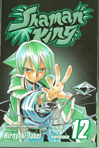 Stock image for Shaman King, Vol. 12 for sale by Better World Books