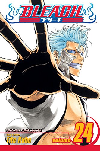 Beispielbild fr Bleach, Vol. 24 zum Verkauf von Better World Books