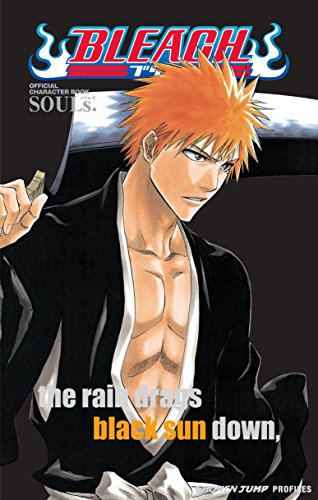 9781421520537: Bleach Official Character Book Volume 1: SOULs.