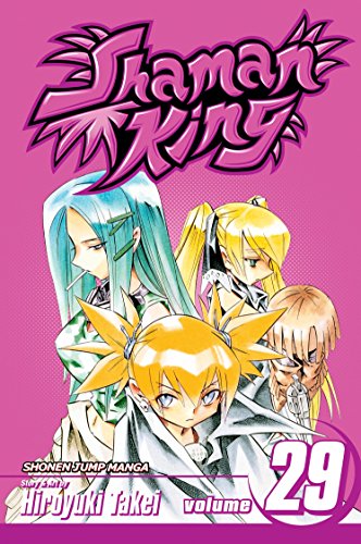 Beispielbild fr Shaman King, Vol. 29 zum Verkauf von Better World Books