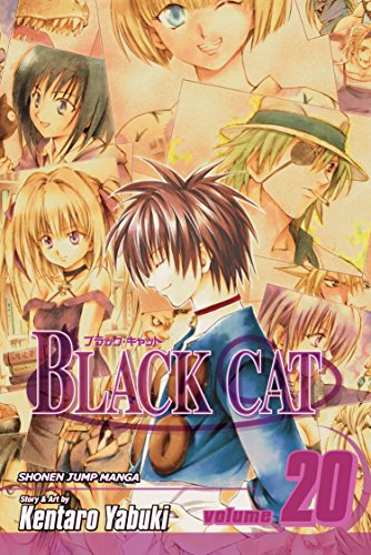 Beispielbild fr Black Cat, Vol. 20 zum Verkauf von Housing Works Online Bookstore