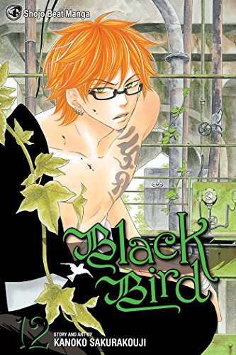 Stock image for Black Bird, Vol. 12 for sale by Kennys Bookstore