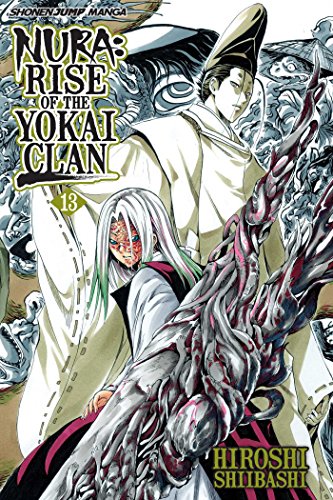 Stock image for Nura: Rise of the Yokai Clan, Vol. 13 for sale by Better World Books: West