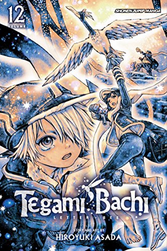 Beispielbild fr Tegami Bachi, Vol. 12 zum Verkauf von Better World Books