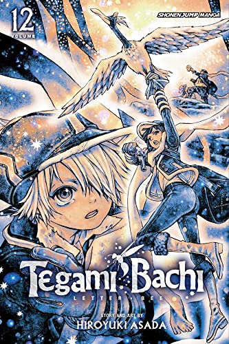 9781421541815: Viz Tegami Bachi GN Vol. 12 Paperback Manga: Child of Light