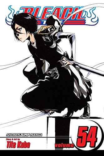 Beispielbild fr Bleach, Vol. 54 zum Verkauf von Better World Books