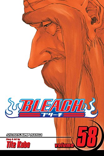 Beispielbild fr Bleach, Vol. 58 zum Verkauf von Better World Books