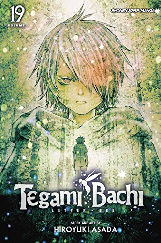 Beispielbild fr Tegami Bachi, Vol. 19 zum Verkauf von Better World Books