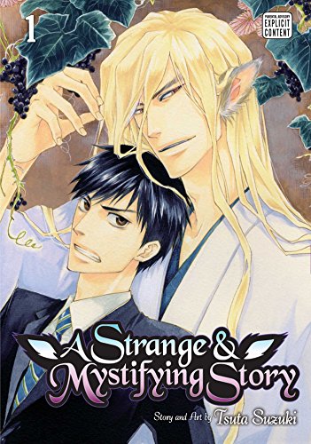 Imagen de archivo de A Strange & Mystifying Story, Vol. 1 (1) (A Strange and Mystifying Story) a la venta por BooksRun