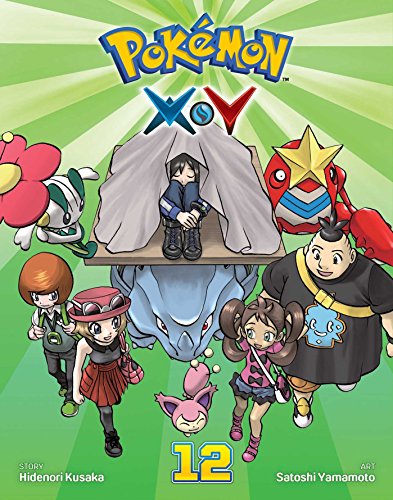 Stock image for Pok?mon X.Y, Vol. 12 (12) (Pokemon) for sale by SecondSale