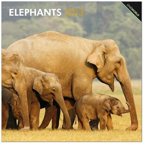 Elephants 2013 Square 12X12 Wall Calendar (9781421600741) by NOT A BOOK